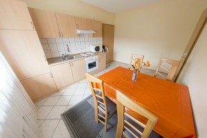 esszimmer-kueche-ferienwohnung10