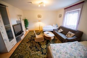 ferienwohnung10-wohnzimmer-tv-betten-1
