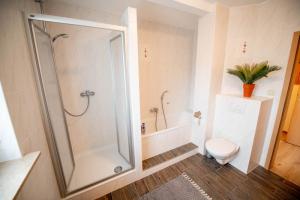 ferienwohnung11-bad-dusche-badewann-wc-2